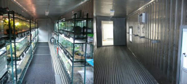40ft Insulated Container - The Frog Pod - Atlanta, GA