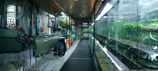 40ft Insulated Container - The Frog Pod - Atlanta, GA